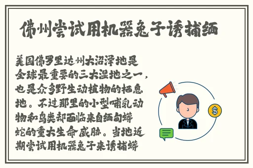 羞羞漫画的网站